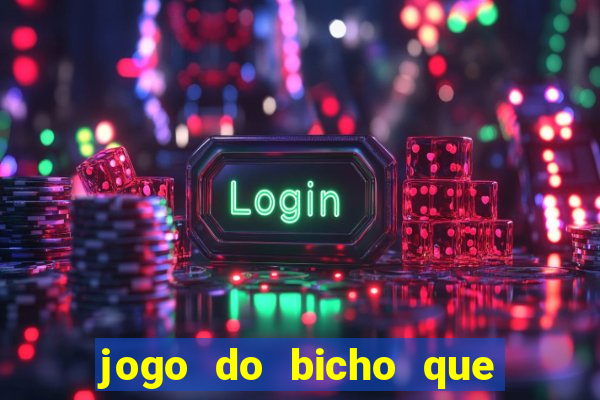 jogo do bicho que paga no pix